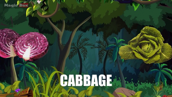 Cabbage - Vegetables - Pre School - Animated Educational Videos For Kids
