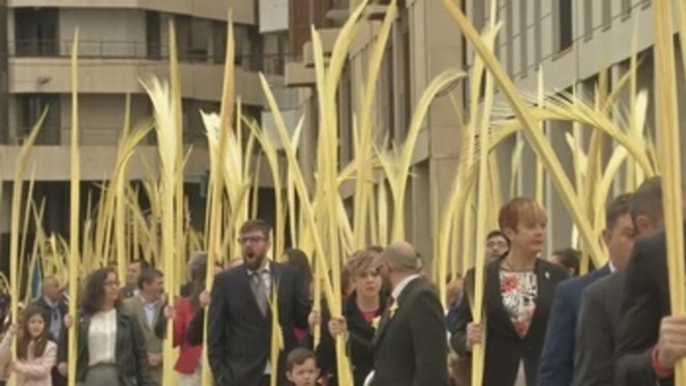 Miles de ilicitanos acompañan con palmas blancas a Jesús Triunfante en el Domingo de Ramos