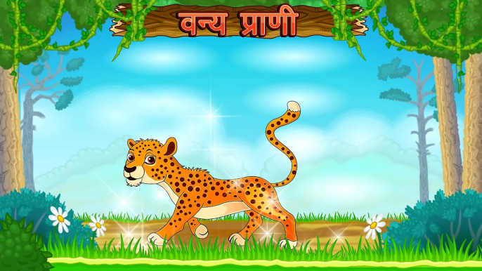 Lets Learn About Wild Animals - Preschool Learning in Marathi | Types Of Domestic Animals