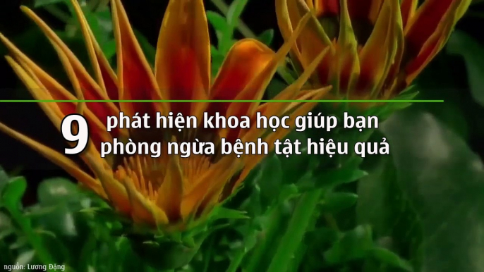 9 phát hiện khoa học giúp bạn phòng ngừa bệnh tật hiệu quả