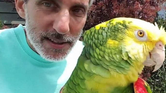 Crazy cockatoos, peculiar parrots, and marvelous macaws!