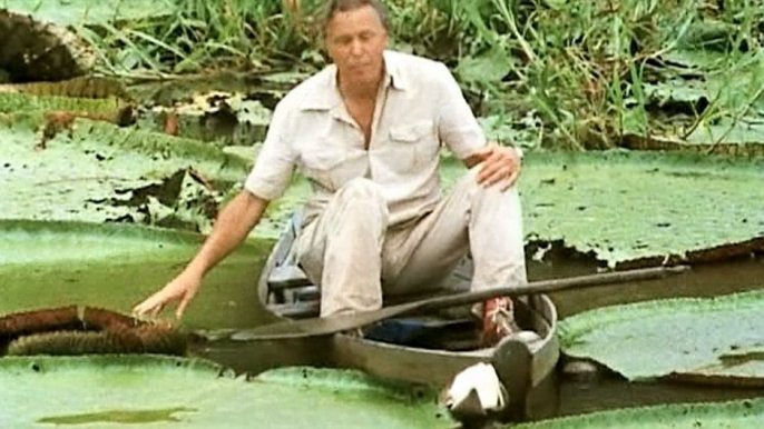 David Attenborough - Élő Bolygó - 08 - Édesviz