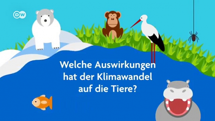 Wie wirkt sich der Klimawandel auf Tiere aus? | Global Ideas