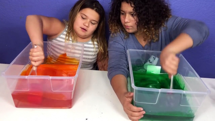 1 GALLON OF CRA-Z-ART CLEAR SLIME VS 1 GALLON OF ELMER'S CLEAR SLIME - MAKING GIANT SLIMES