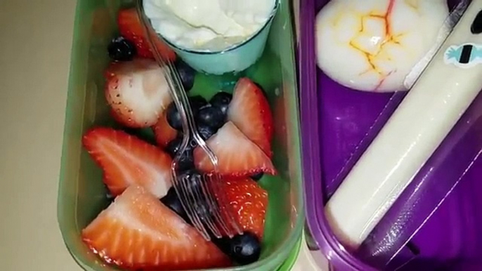 Halloween Bento School lunch ideas for the week!