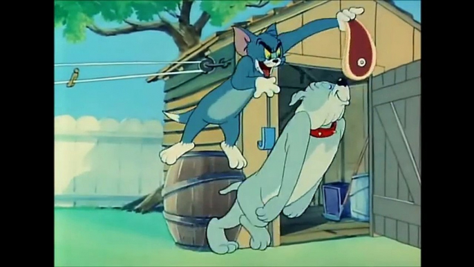 Tom and Jerry (English- Love That Pup & Sleepy-Time Tom