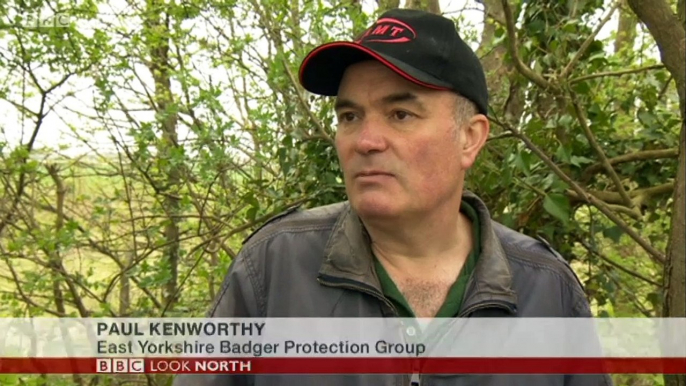 BBC1_Look North (East Yorkshire & Lincolnshire) 22Apr18 - badger killings in East Yorkshire