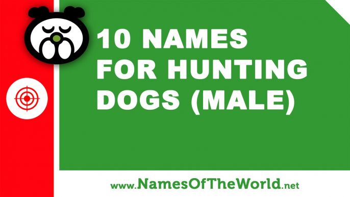 10 names for hunting dogs (male) -  the best pet names - www.namesoftheworld.net