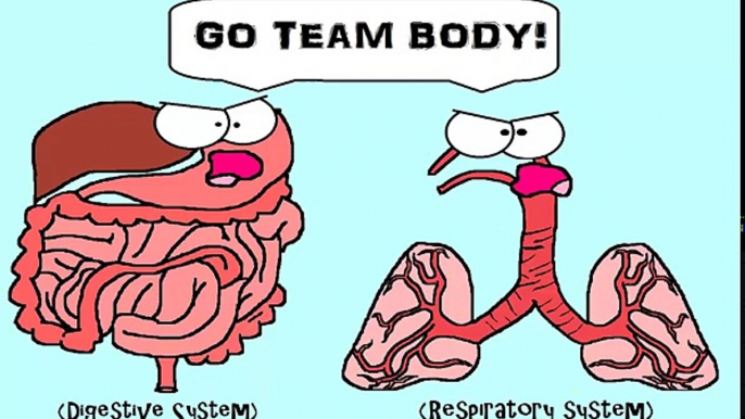 (OLD VIDEO) Human Body Systems: The 11 Champions