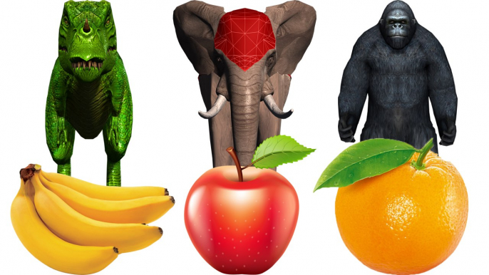 Learn Colors Animals Color Fruits for Kids Children | Learning Colors Videos For Toddler