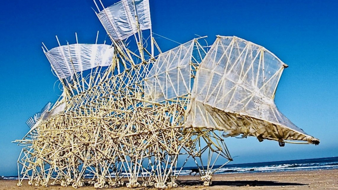 Living Sculptures Move Without Electricity - Theo Jansen's Strandbeests