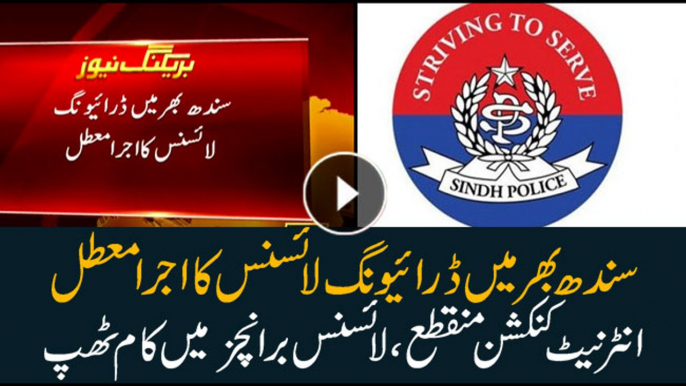 Issuance of a driving licence suspended all over Sindh due to technical issues.