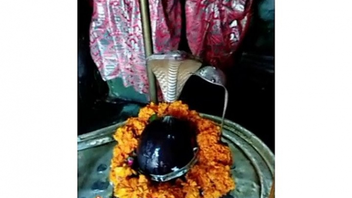 Har Har Mahadev Aap Shamboo Shiv Mandir