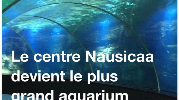 Le centre Nausicaa de Boulogne-sur-Mer devient le plus grand aquarium d'Europe