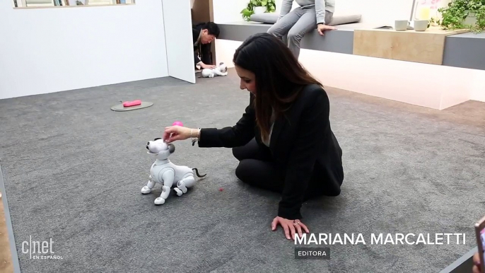 Aibo de Sony: El perrito robot es más adorable en su segunda versión