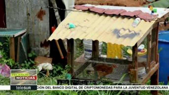 teleSUR Noticias: México, a 12 años de la represión en Atenco