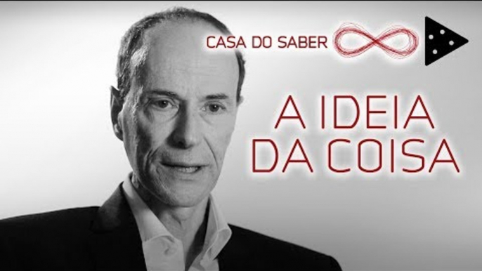 VOCÊ PREFERE: A COISA OU A IDEIA DA COISA? | LUIZ ALBERTO HANNS