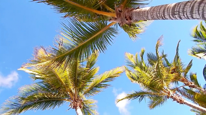 BEACH Walk in Punta Cana Dominican Republic