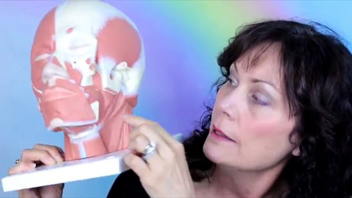 Cheek Lifter Exercise - The FACEROBICS® Cheek Lifter Face Exercise Explained