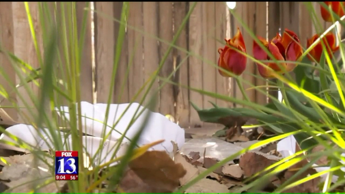 'Tornado of Garbage' from Overflowing Recycling Center Upsets Neighbors