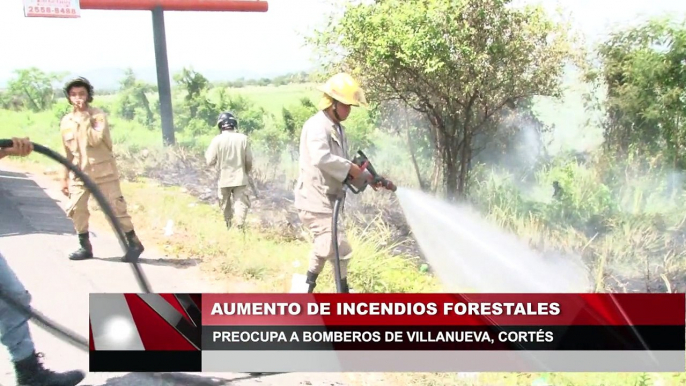 Bomberos preocupados por aumento de incendios