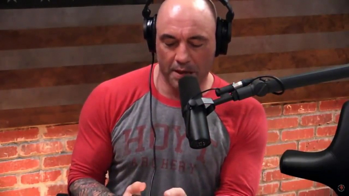 Joe Rogan & Kevin Lee on Tony Ferguson, Khabib Nurmagomedov and Conor McGregor