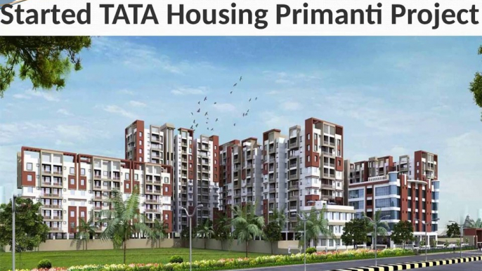 Buy Tata Primanti in Sector 72 Gurgaon