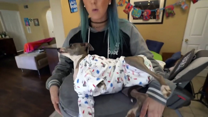 jenna marbles annoying kermit for 1 minute straight