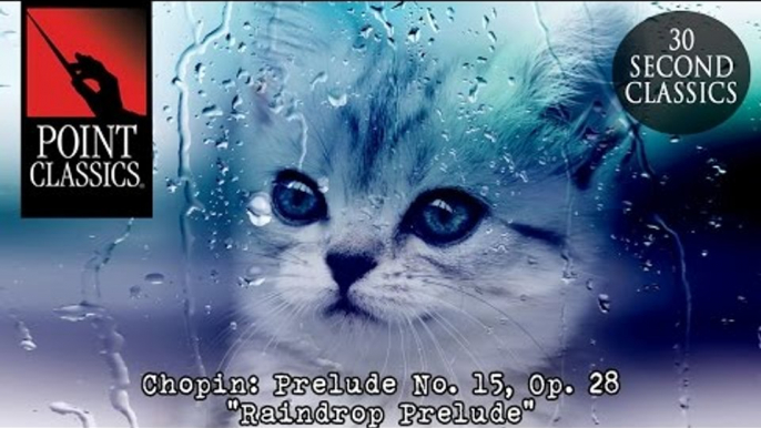 Chopin: Prelude No. 15, Op. 28 "Raindrop Prelude"