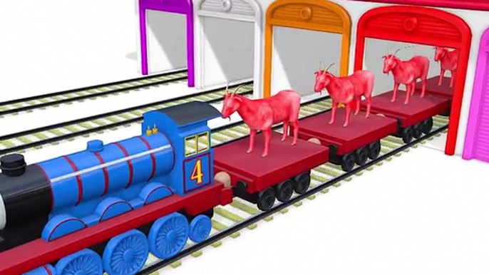 Learn Colors & Numbers for Children with Domestic Animals & Thomas Train - Kids Learning Video