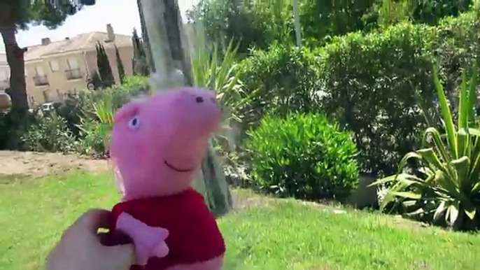 Peppa Pig se va a la piscina | Vídeos de Peppa Pig en español