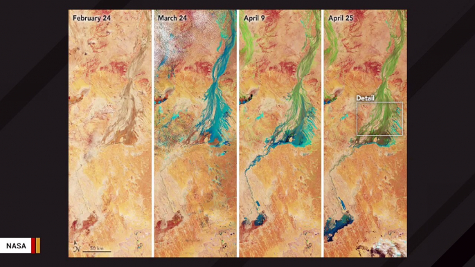 Satellite Images Capture A 'Carpet Of Green' After Rainfall Transforms A Barren Landscape