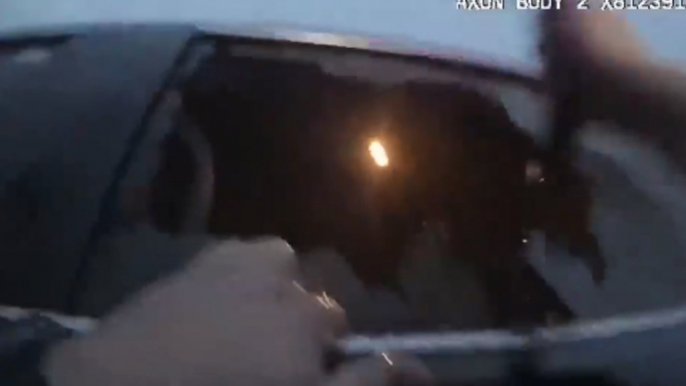 Bodycam Footage Shows Officers Saving Driver From Sugar Land Lake