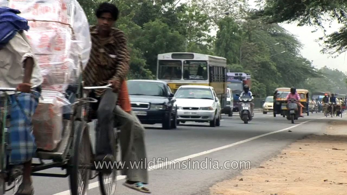 Hitching a free ride in India