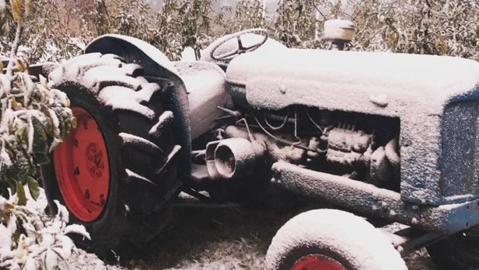 Snowfall in Central West Amidst Plummeting Temperatures Across New South Wales