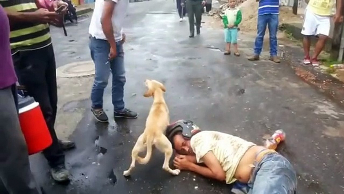 El peludo le daba besos para intentar despertarlo, al tiempo que evitaba que le tocaran a su humano ¡Esto es amor puro, amor perruno!