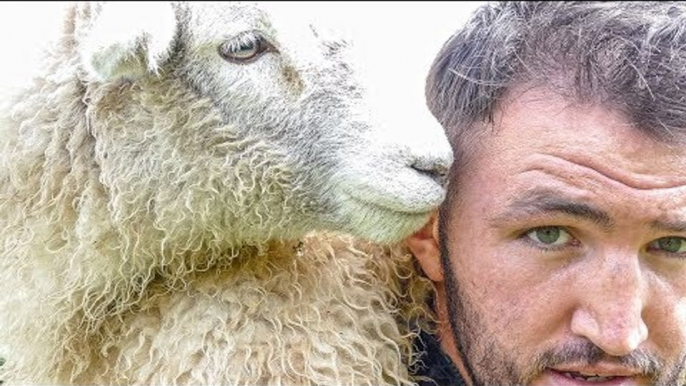 HUGHIE FURY | IF YOU CAN CATCH A SHEEP..YOU CAN CATCH JOSEPH PARKER!!