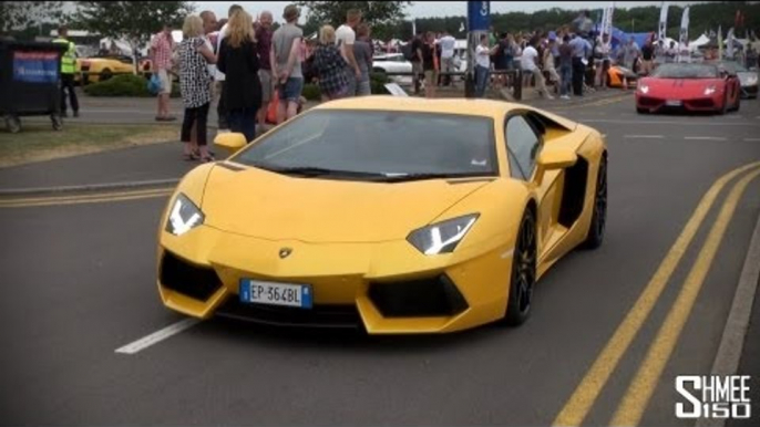 Lamborghini Parade: Aventador Roadsters, Miuras, and everything between!