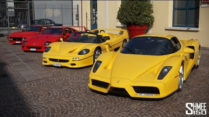 FERRARI DREAM DRIVE: 288 GTO vs F40 vs F50 vs Enzo