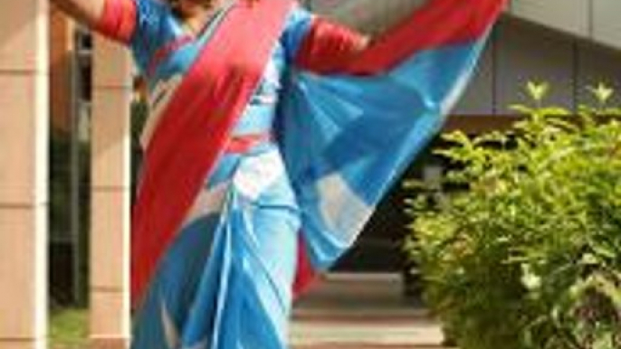 Anwar supporter turns PKR flags into saree