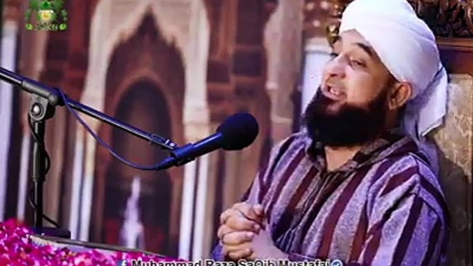 Muhammad Raza Saqib Mustafai