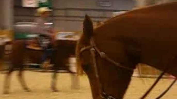 Equitation western#salon du cheval 2007