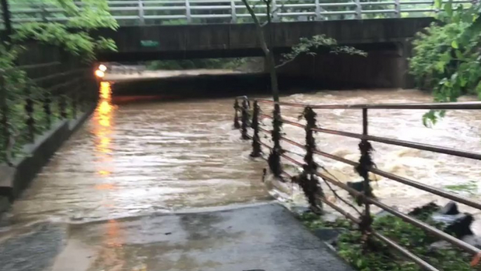 Thunderstorms Cause Flooding in Arlington, Virginia