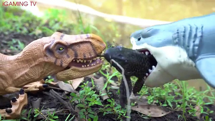 SHARK VS DINOSAURS REAL LIFE | SCORPION INNOVATION GIANT CREEPY TOYS ATTACK SHARK AND DINOSAURS TOYS