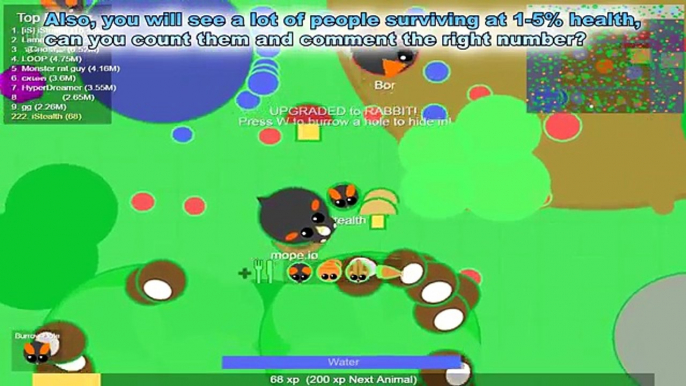 MOPE.IO ALL THE ANIMALS IN THE LAVA BIOME! TILL BLACK DRAGON! (Mope.io)