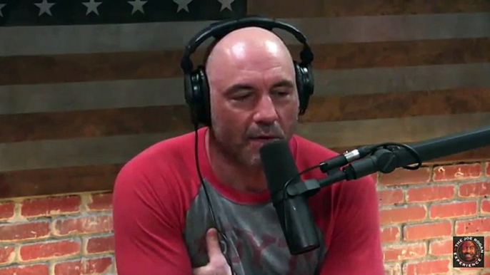 Joe Rogan - Canada Banned Grizzly Bear Hunting