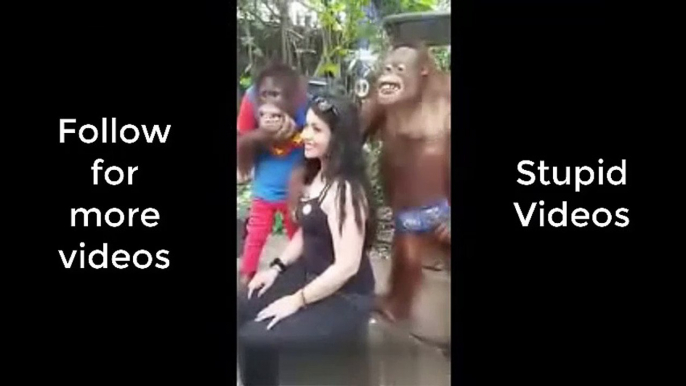 Very funny Video comedy clip | Monkey is flirting | Huge eater monkey funny videos