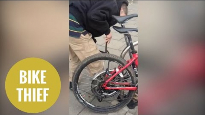 Thief uses a pair of bolt cutters to break through a bicycle lock