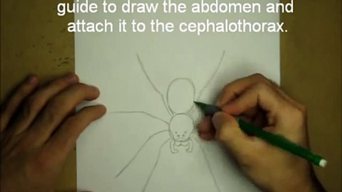 How to Draw a Spider