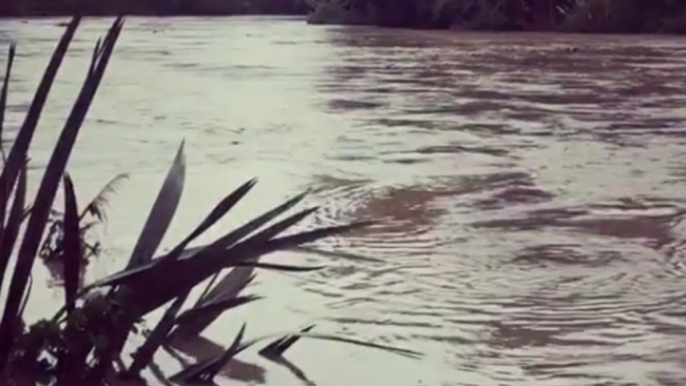 Backyard Flooded After Severe Weather Lashes Gisborne